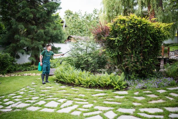 Wasp Removal Services in West Grove, PA