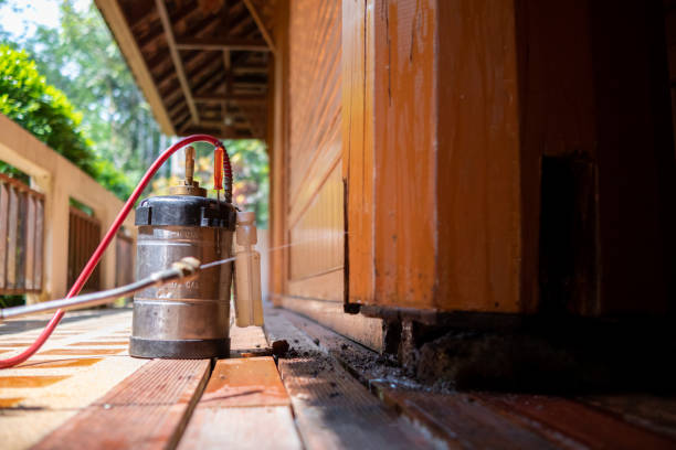 Best Affordable Pest Control Services  in West Grove, PA