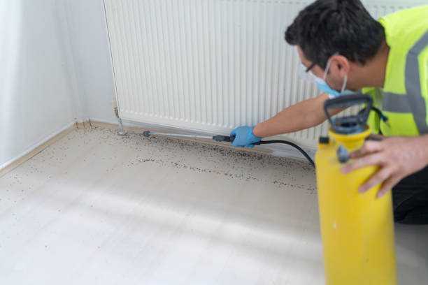 Best Wasp Removal Services  in West Grove, PA